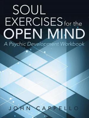 Cover of the book Soul Exercises for the Open Mind by William Lucas