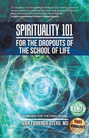 Cover of the book Spirituality 101 for the Dropouts of the School of Life by Paul Huson