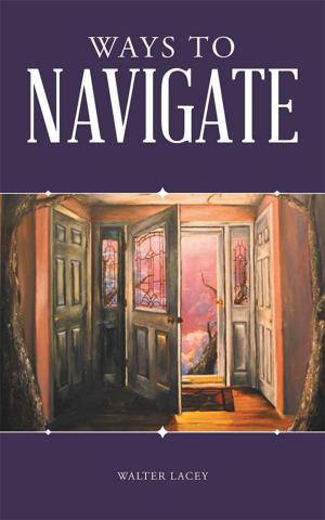 Cover of the book Ways to Navigate by Jason M.A Walter (JMAW)
