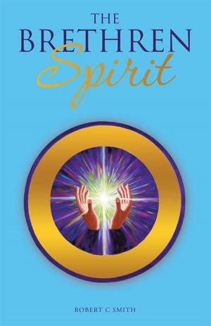 Cover of the book The Brethren Spirit by Michael W. Weaver, Will Scott
