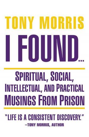 Cover of the book I Found … by Deborah McGaffey