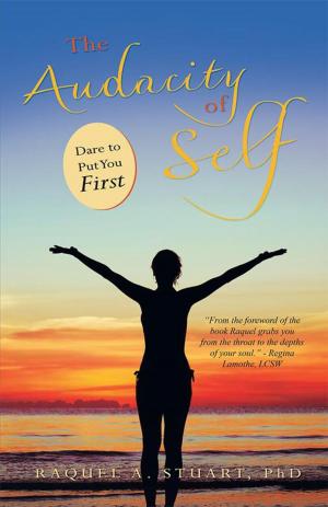 Cover of the book The Audacity of Self by Ric Weinman