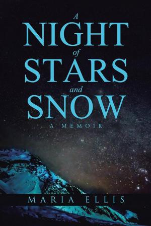 Cover of the book A Night of Stars and Snow by Matthew J. Hess MBA MA, SPHR
