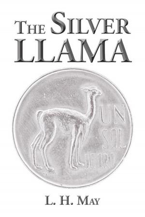 Cover of the book The Silver Llama by Galen Hobbs