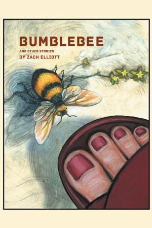 Cover of the book Bumblebee by Dick Pellek