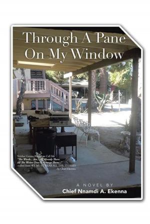 Cover of the book Through a Pane on My Window by Amanda Lanclos