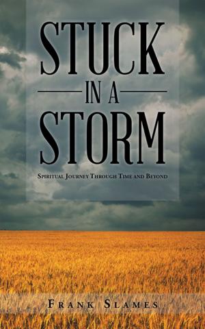 Cover of the book Stuck in a Storm by Kathryn Gardner
