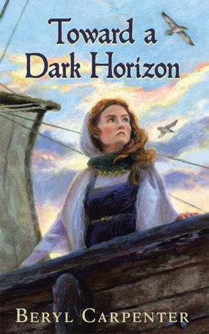 Book cover of Toward a Dark Horizon