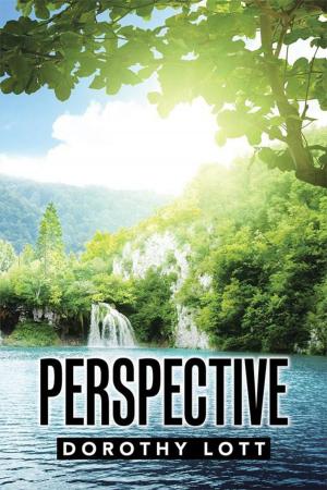 Book cover of Perspective