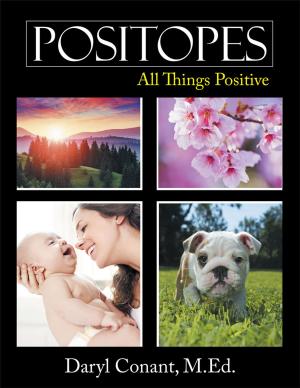Cover of the book Positopes by Dorothy Schiffhauer