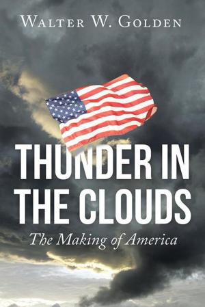 Cover of the book Thunder in the Clouds by Lois Torrance