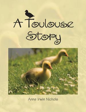 bigCover of the book A Toulouse Story by 