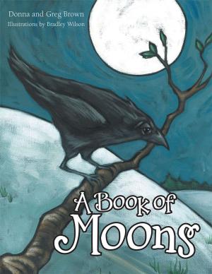 Cover of the book A Book of Moons by Aldi Essandjo