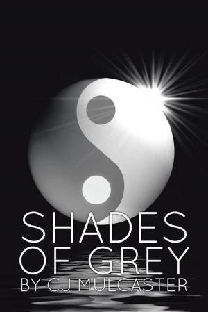 Cover of the book Shades of Gray by Bruno Lindia