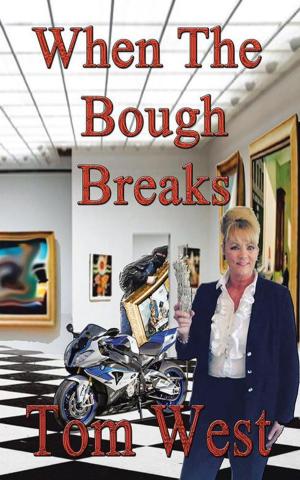Cover of the book When the Bough Breaks by S.D. Verlindau
