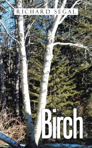 Cover of the book Birch by Khansa Jan