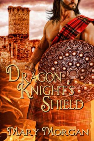 Book cover of Dragon Knight's Shield