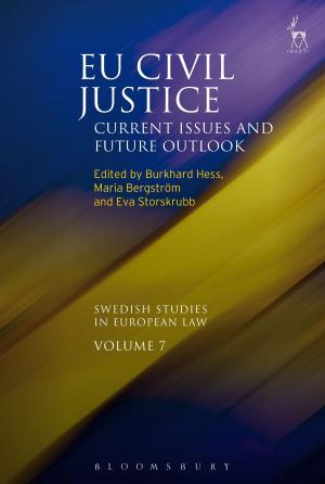 Cover of the book EU Civil Justice by Matt Chisholm