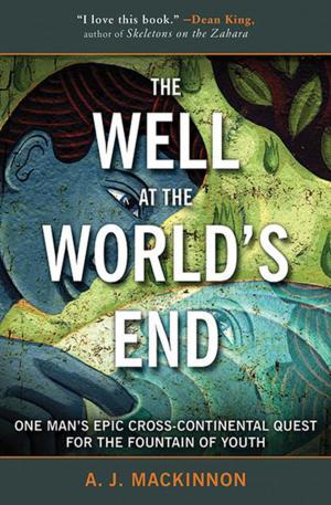 Cover of the book The Well at the World's End by Daniel Robinson