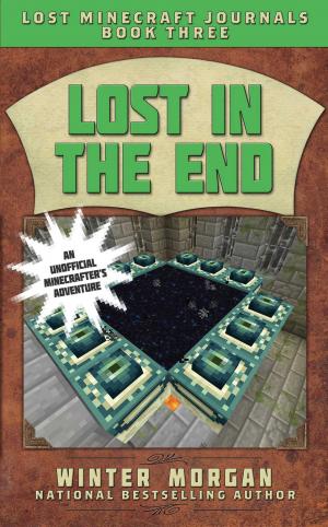 Book cover of Lost in the End