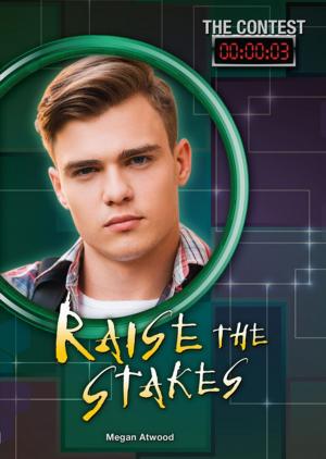 Cover of the book Raise the Stakes by Donald Hounam
