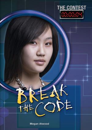 Cover of the book Break the Code by Judy Goldman