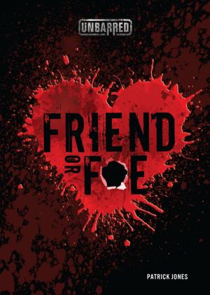 Cover of the book Friend or Foe by Mari Schuh