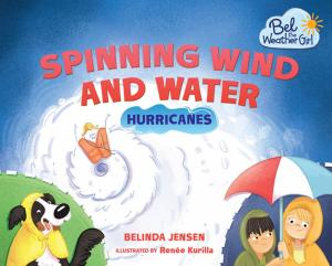 Cover of the book Spinning Wind and Water by Laya Steinberg
