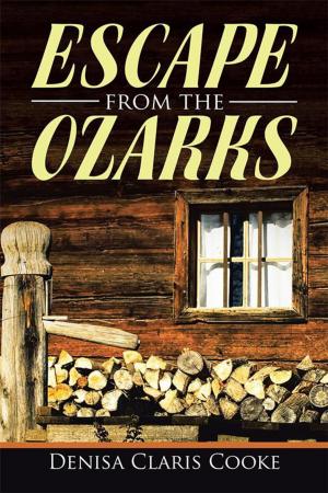 Book cover of Escape from the Ozarks