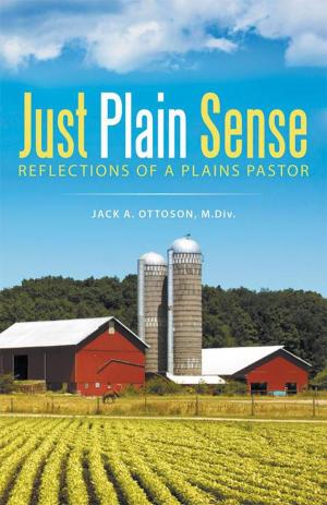Cover of the book Just Plain Sense by R. A. D'Arche