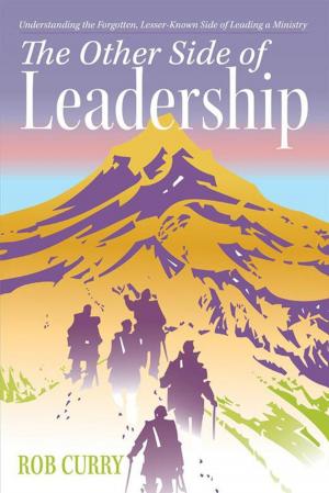 bigCover of the book The Other Side of Leadership by 