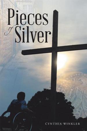 Cover of the book Pieces of Silver by Diana Perkins