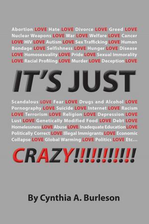 Cover of the book It's Just Crazy! by Art Ayris