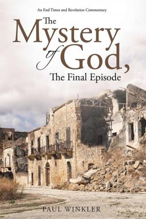 Cover of the book The Mystery of God, the Final Episode by James A Turner
