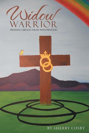 Cover of the book Widow Warrior by Katie Jordan