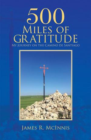 Cover of the book 500 Miles of Gratitude by R. G. Shelton