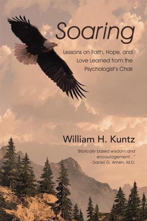 Cover of the book Soaring by Felix Asade