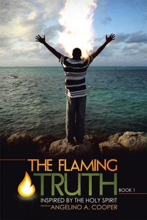 Cover of the book The Flaming Truth by James M. Sienkiewicz