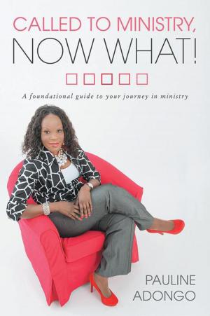 Cover of the book Called to Ministry, Now What! by Vivian Borgeson