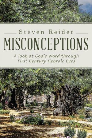 Cover of the book Misconceptions by Linda Leggett