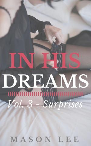 Book cover of In His Dreams: Vol. 3 - Surprises