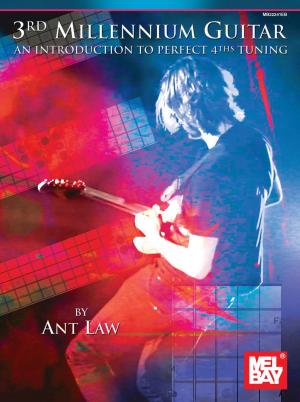 Cover of the book 3rd Millennium Guitar by Anne Witt