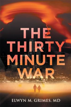 Cover of the book The Thirty Minute War by Michael Zilbering