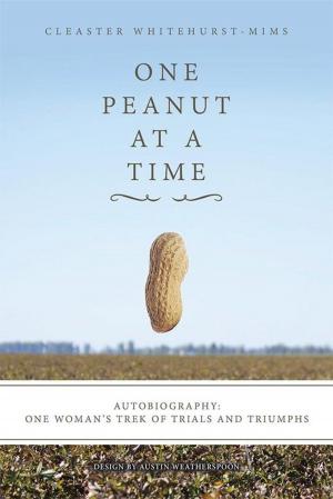 Cover of the book One Peanut at a Time by Douglas V. Maurer