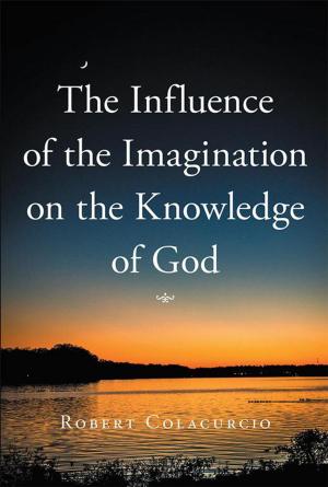 Cover of the book The Influence of the Imagination on the Knowledge of God by Dennis Doph