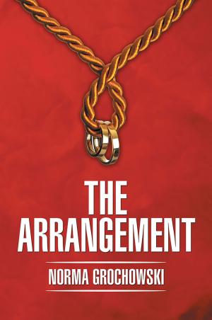 Cover of the book The Arrangement by Dabeer Mallik