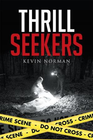 Cover of the book Thrill Seekers by Henry M. Kissman