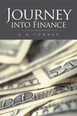 Cover of Journey into Finance