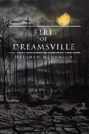 Cover of the book Fire of Dreamsville by Yolanta Lensky