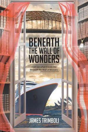 Cover of the book Beneath the Wall of Wonders by C.S. Michaels